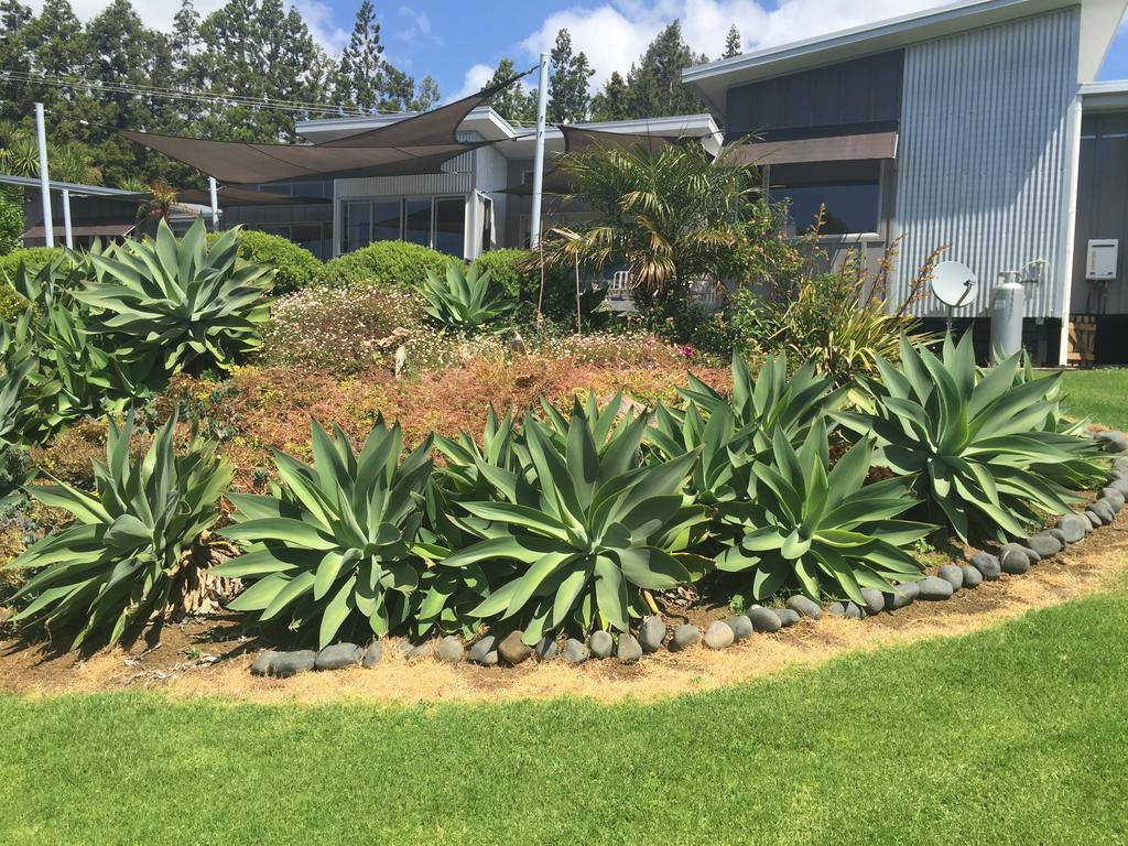 Bed and Breakfast Apple Bnb Kerikeri Exterior foto