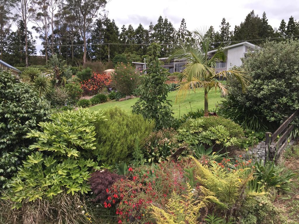 Bed and Breakfast Apple Bnb Kerikeri Exterior foto