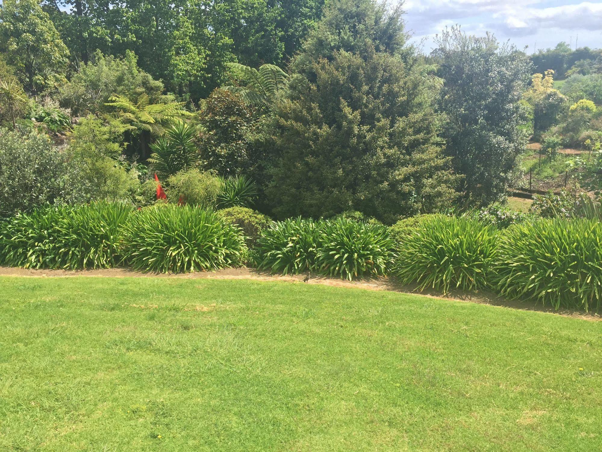 Bed and Breakfast Apple Bnb Kerikeri Exterior foto