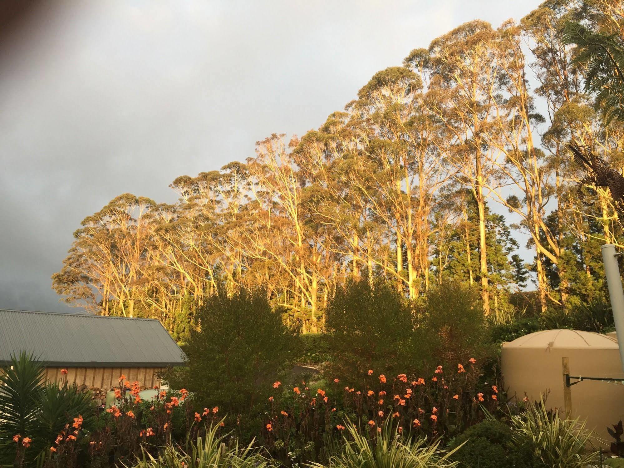 Bed and Breakfast Apple Bnb Kerikeri Exterior foto